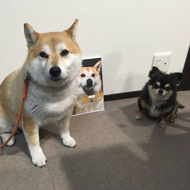 595a00a5 bc4e 4e7c a03d a301f5e2e242 1613357087104