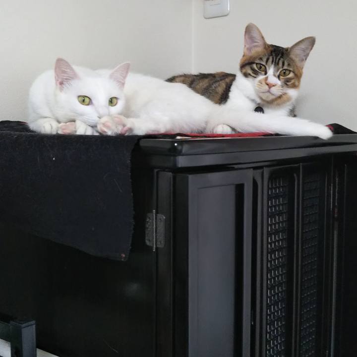 595a10e2 cfe7 44ca 852f dd84ac37bd38 1642163252951