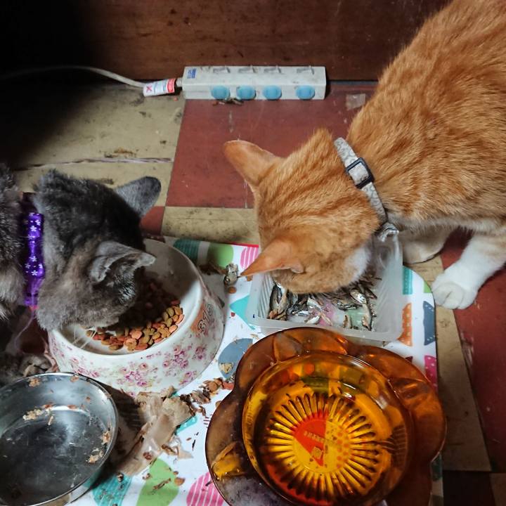 595a4ee9 7b61 41ee 9fbf 63979ac2ceaa 1591348309417