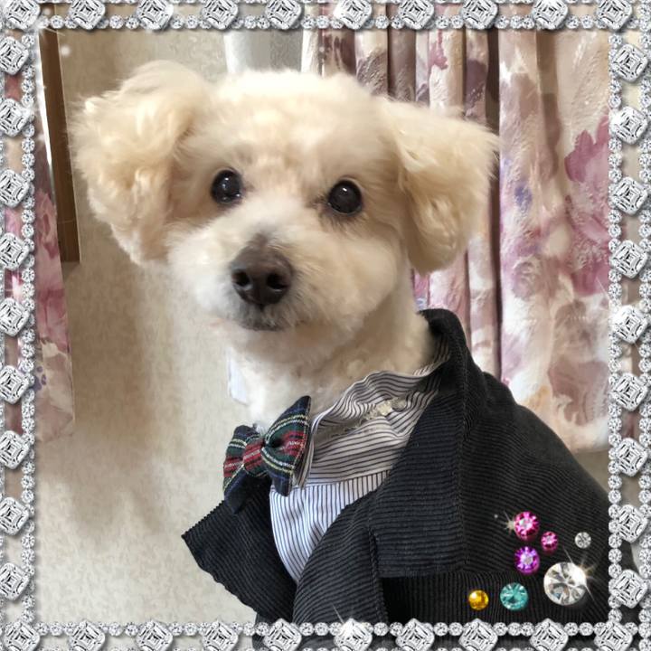 595a5b23 ae80 4851 bb10 ffca13b05edc 1552573211335