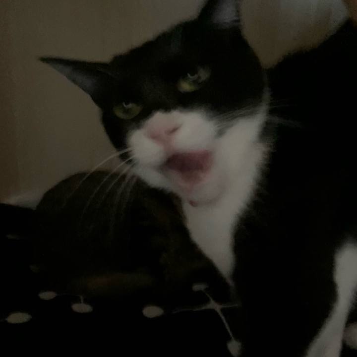 595a5e5b 2fea 4b54 9fbb db7b7c1dd6a9 1617270872994