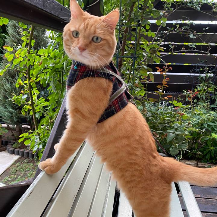 595a758c ef2e 49d2 b1e8 e6aac360b7c2 1600077771654