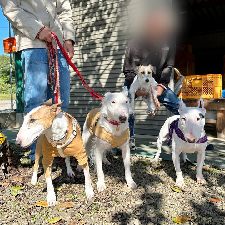 595a93de ce05 4424 97ef cc35f2514373 1697550898943