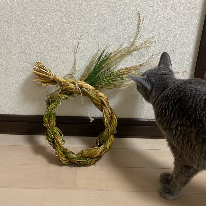 595a9dfb 8273 4e46 82de 548715b18345 1607428386541