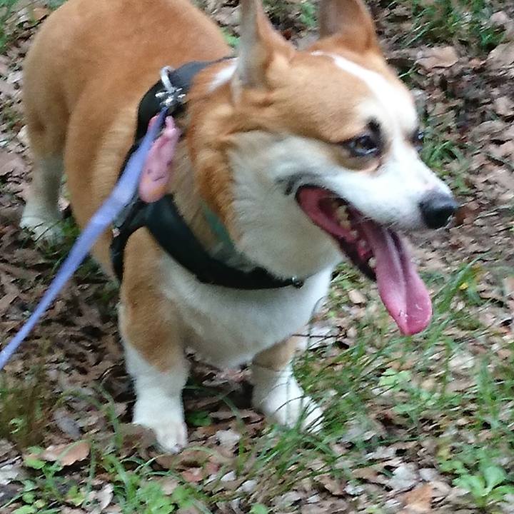 595ab982 de06 4ea2 b1d4 5b2bbef94433 1657530487067