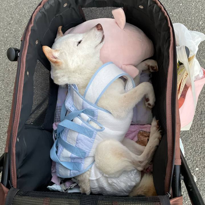 595abfa7 f122 48e1 b581 1e0ee463f1b8 1663683485700