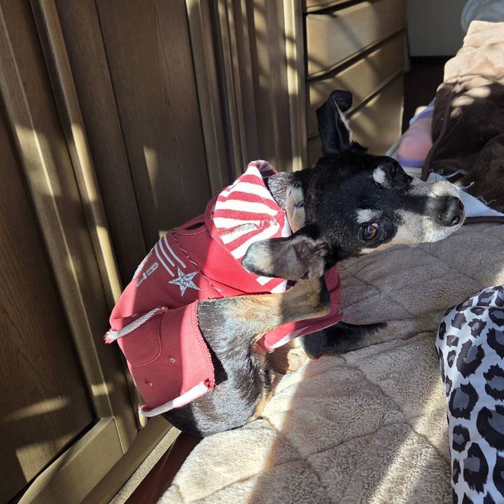 595bb211 ca10 4f76 9591 0cb4d5e270ee 1764306491683