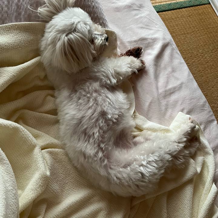 595bbaa6 35d9 49d9 905c f64398b7355c 1655760881509