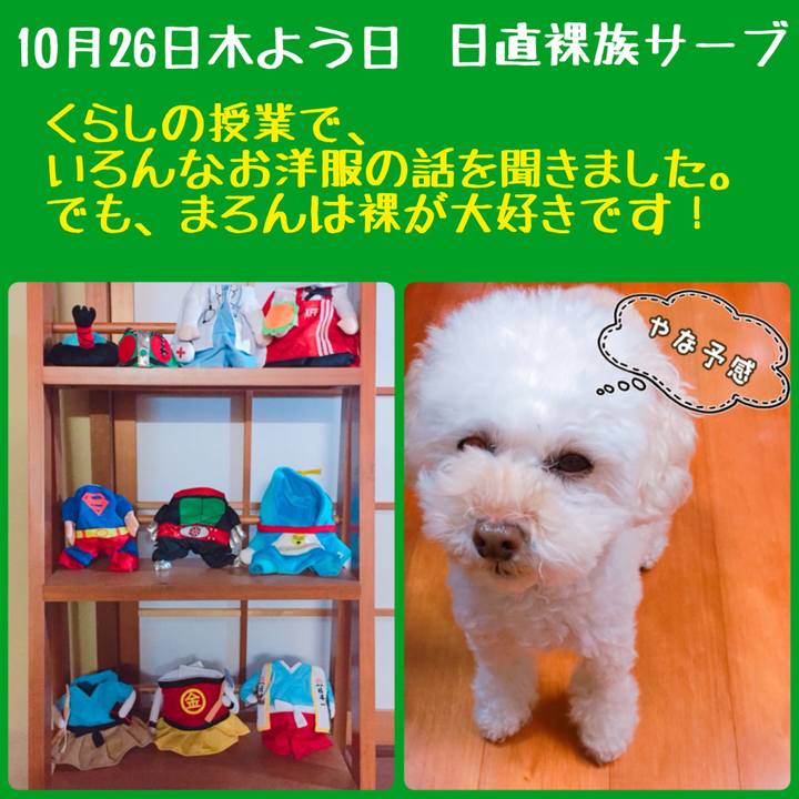 595be226 0270 46c8 8534 372ce5f80b08 1508989282520