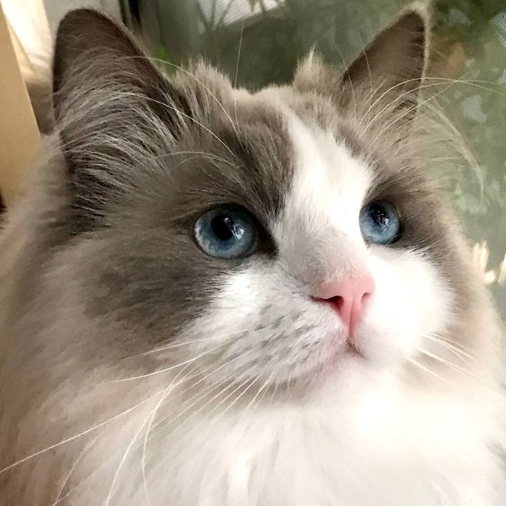 595c0ba9 d13c 410c b918 1ae944da9de4 1592006606853