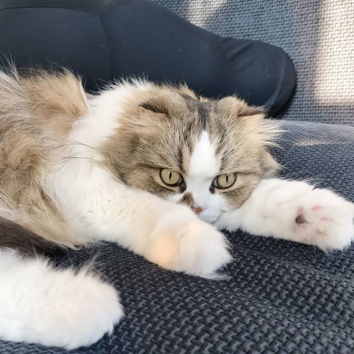 595c0eef a761 4d92 ac40 0c7a02c15f95 1776121390734