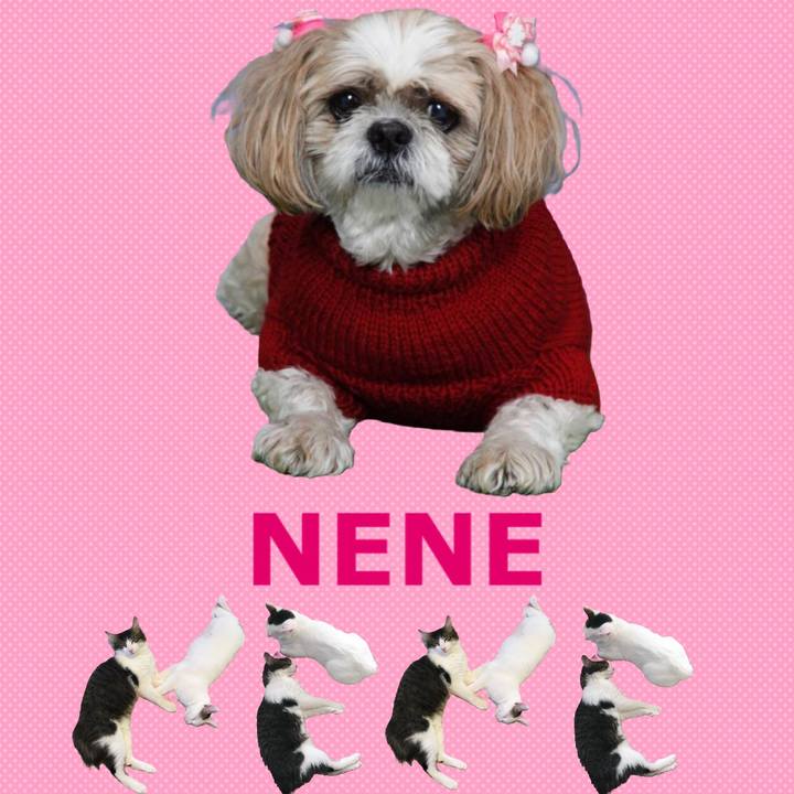 595c2275 b899 418f 882f b2ce13c33d16 1667486385185