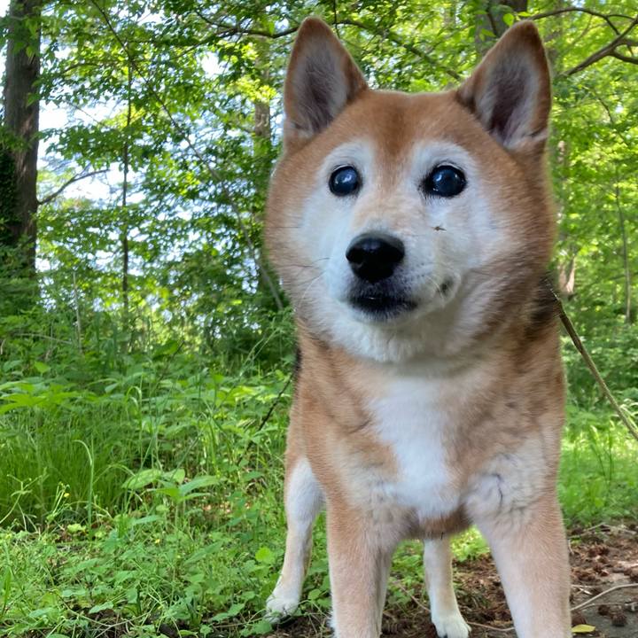 595c5a10 adab 43fb bb05 97f71f50bf92 1714801091641