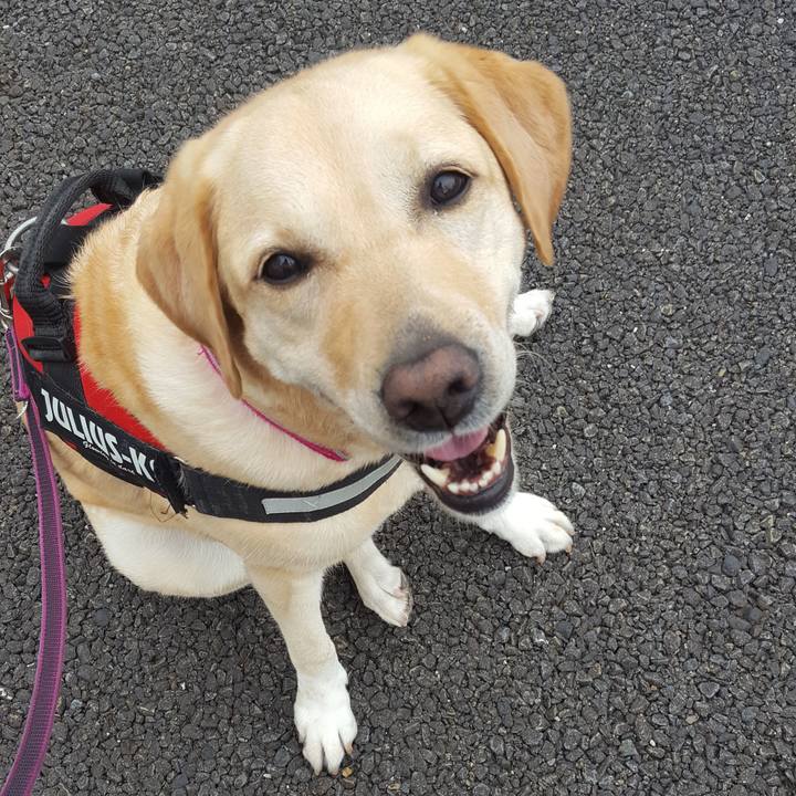 595ca399 17ba 4465 9a49 8d7830a9a863 1562112760604