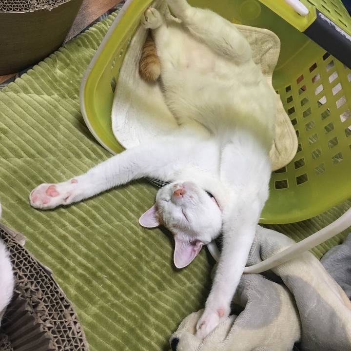 595caeee 40c9 4624 a20b 60e9fe8cd7cc 1548677959638