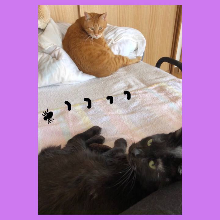 595caf0c 99fa 4f94 b18f 8b6cca083d16 1587172170153