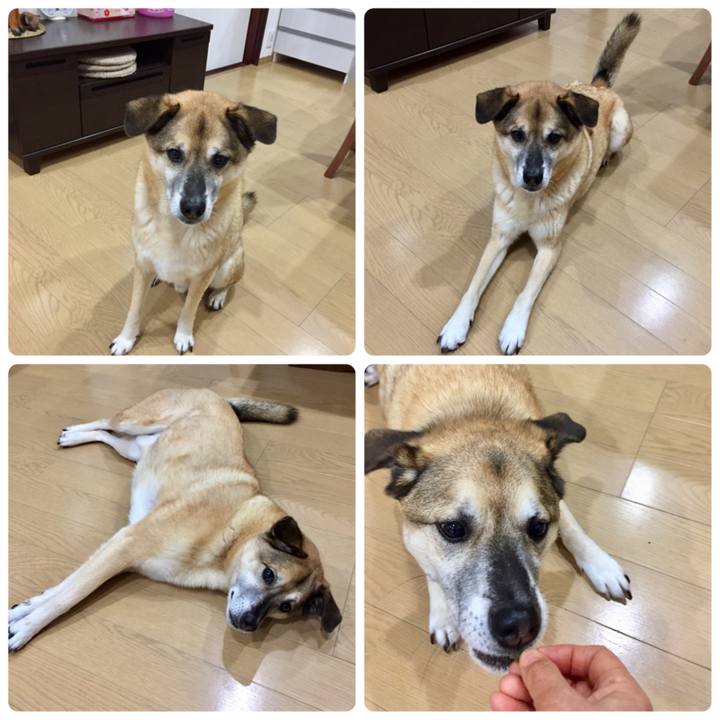 595ce93e afd5 491d 9f0d 9d32ff3f4f85 1549235075226