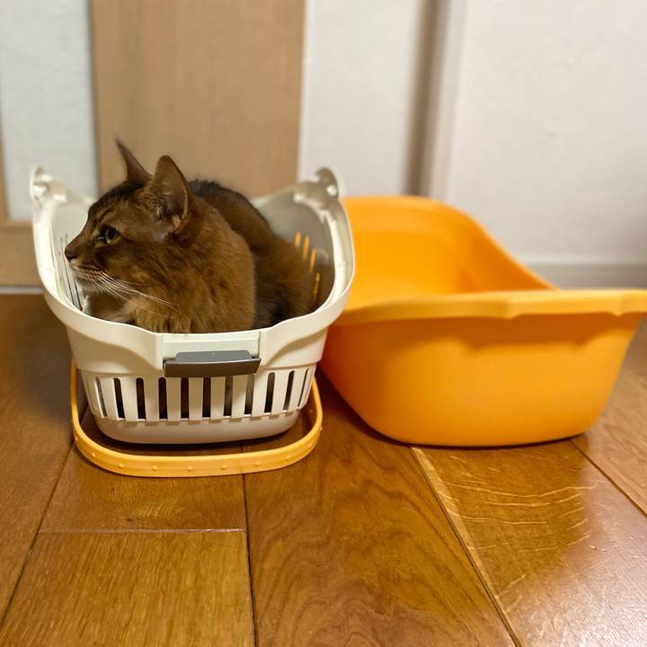 595cfa82 98e6 44f4 b38e 3c0de509acb1 1696686517025