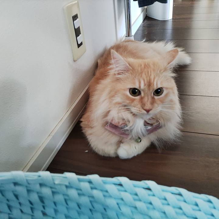 595d2bbb 9735 4d2b 8970 664169e9020d 1721946865943