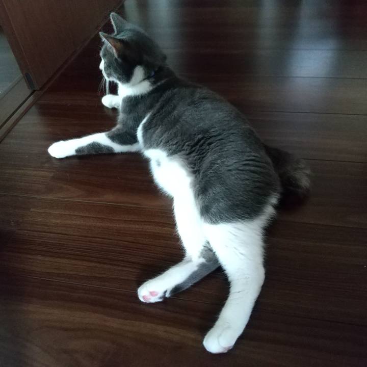 595d481f f899 4a42 b825 9f436867b149 1603061338171