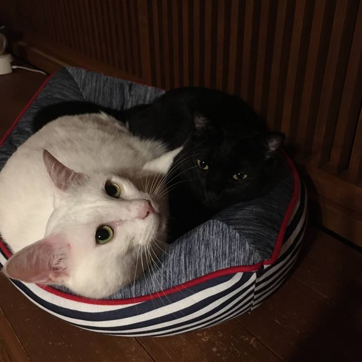 595d6d64 2c15 47d0 ad8b fd1e5c8e5466 1563716175965