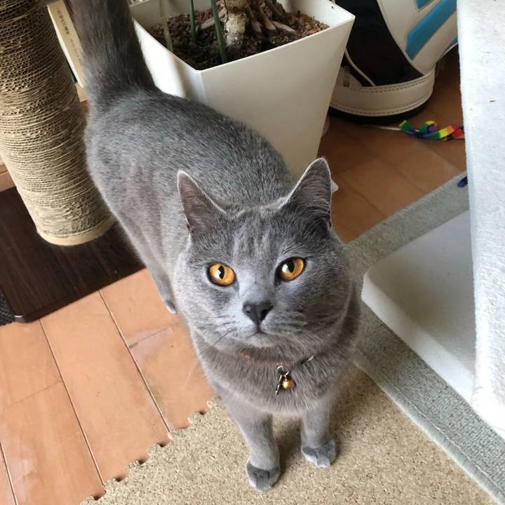 595d70fe e21b 4135 a38d 014e4068ce9f 1553082931760