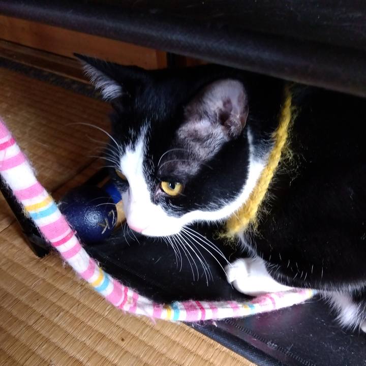 595d9742 981e 4d2f bb16 d2201e45d766 1645925538706