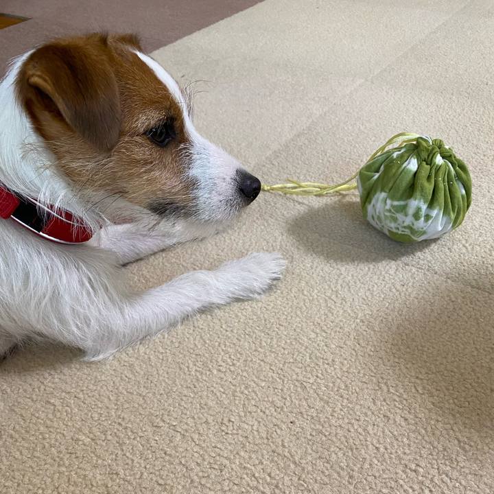 595d99c8 a87e 4724 a111 f89d60ac4ae4 1641703323529