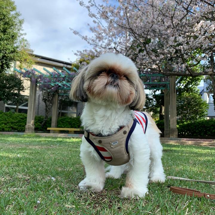 595da58b 4051 476a 8d32 5506b1a90411 1617681632566