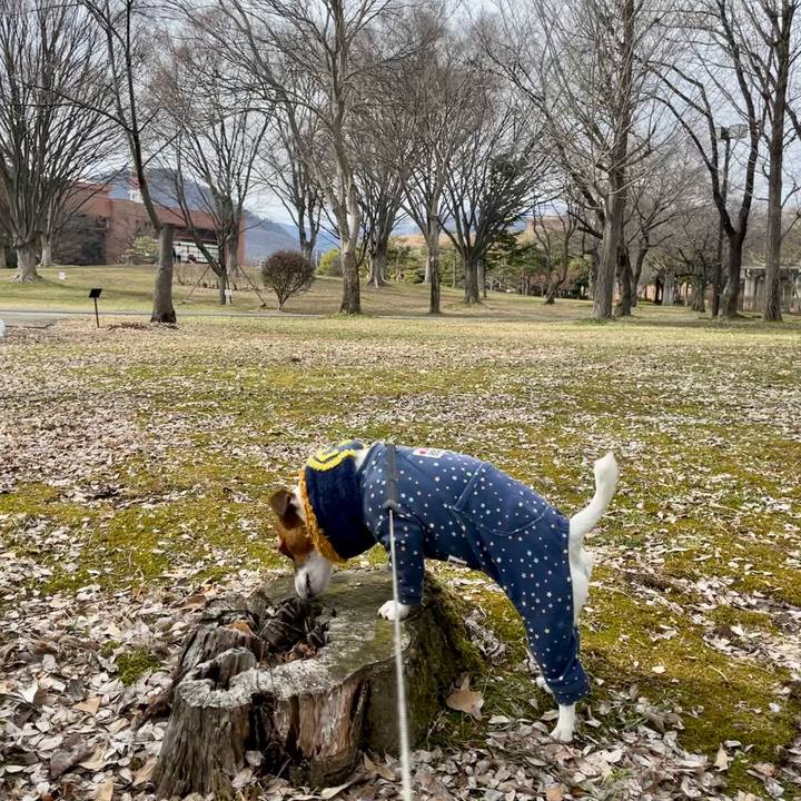 595dd468 186a 4127 8c78 bd25cbbe2e7a 1648023101023