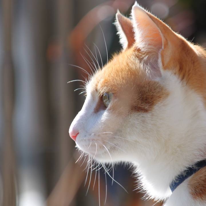 595e0875 9a18 431d afbf 298c20437e6c 1517457956491