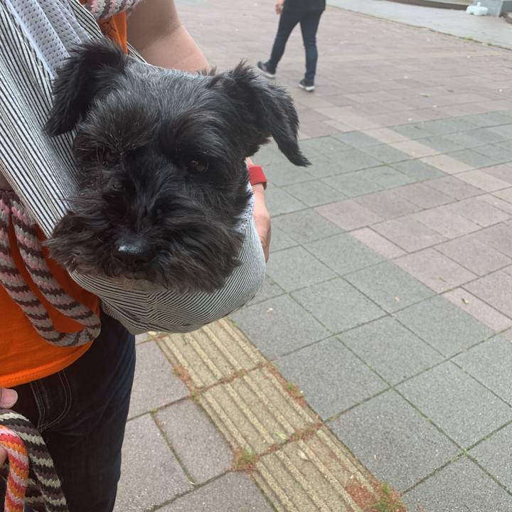 595e36ae 3fa5 4585 bd6c e021e9f754e8 1589093418842