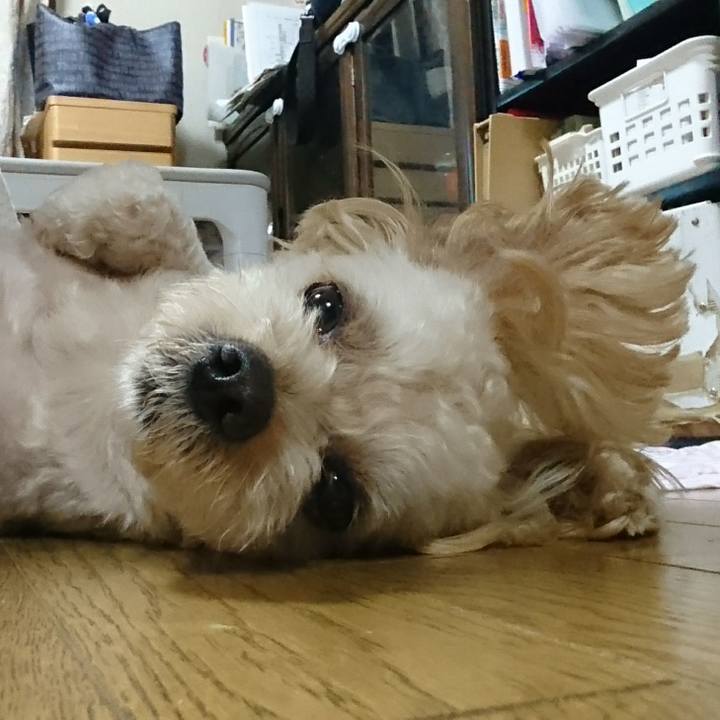 595e3ac7 fd4d 40c1 9156 09fd58ee0dae 1563008770103