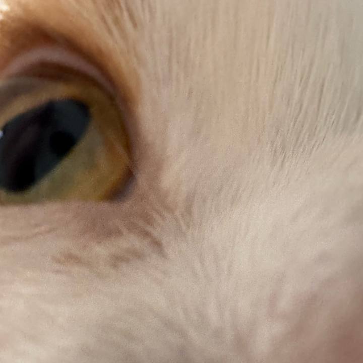 595e5e49 51f6 4d88 accc 217cecbcbdac 1700959935290