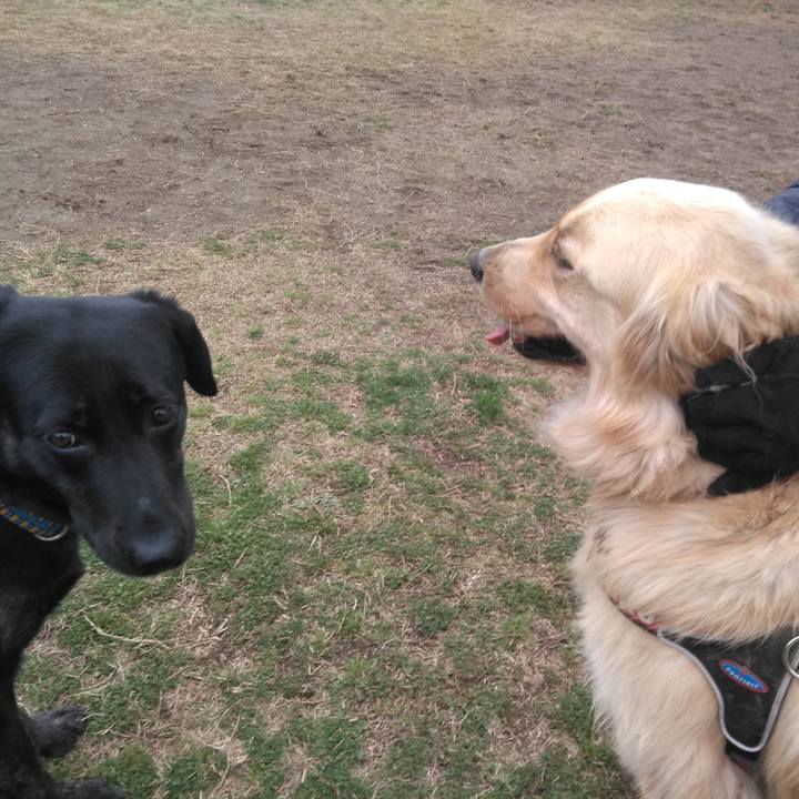 595e6902 e0bf 4460 88de 1b7e809792d1 1584253452892