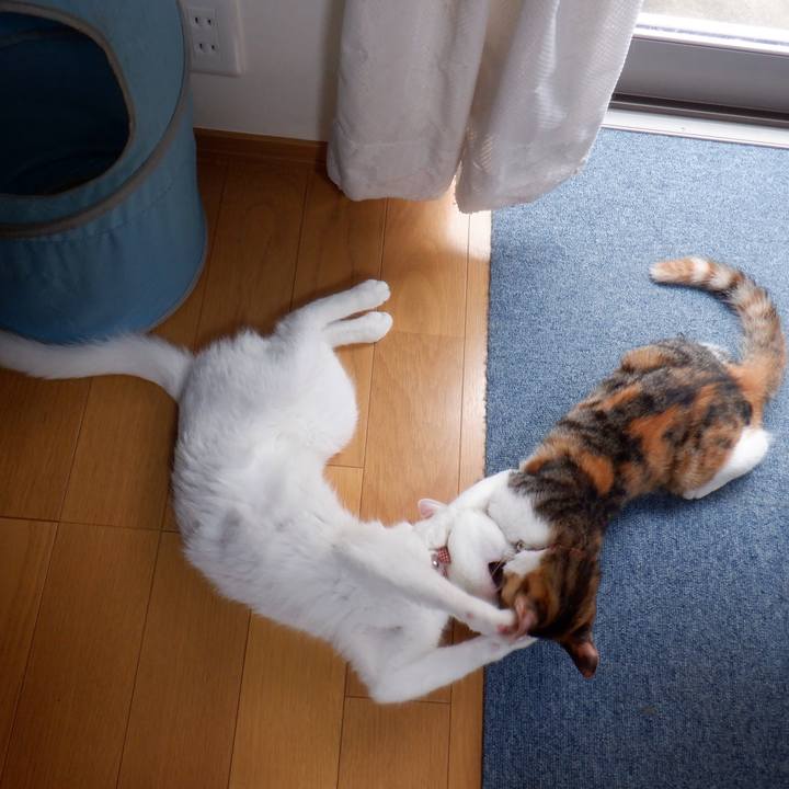 595e80f8 525e 49a9 b670 2096a9c17a7a 1632797423126