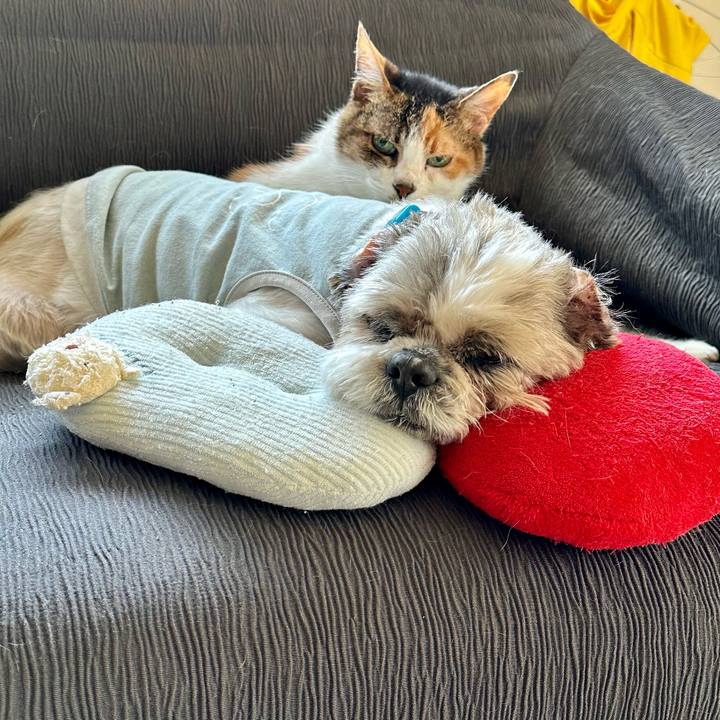 595e966b 6597 4a85 a32e 40ccf0b6287b 1682989833003