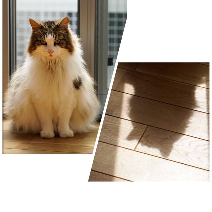 595e9960 1cd3 4415 917c 4617727ea2a9 1654416230843