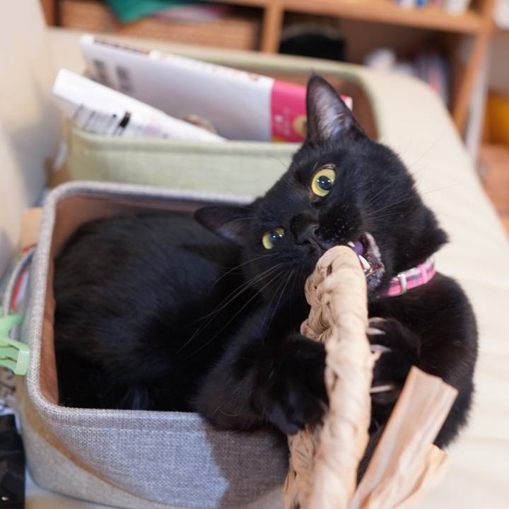 595ea4d8 5838 41d1 87f4 1afa0b590387 1589172708324