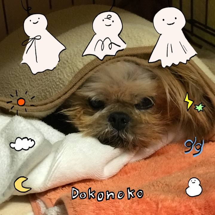 595eaf61 e4fd 4d08 aaa2 791ce943b16f 1749119681732