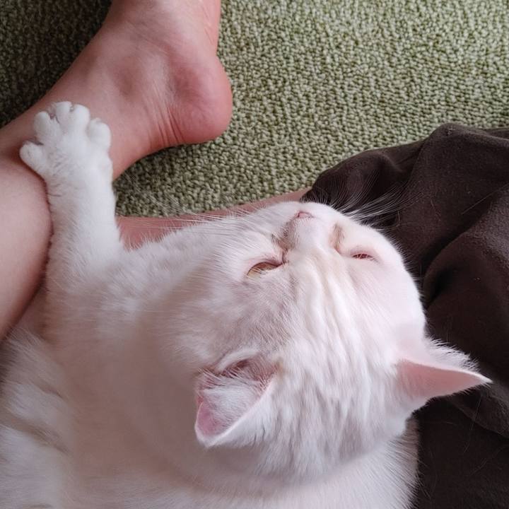 595ec1ec 0199 4aff ba2e 249b6a190959 1630815474887