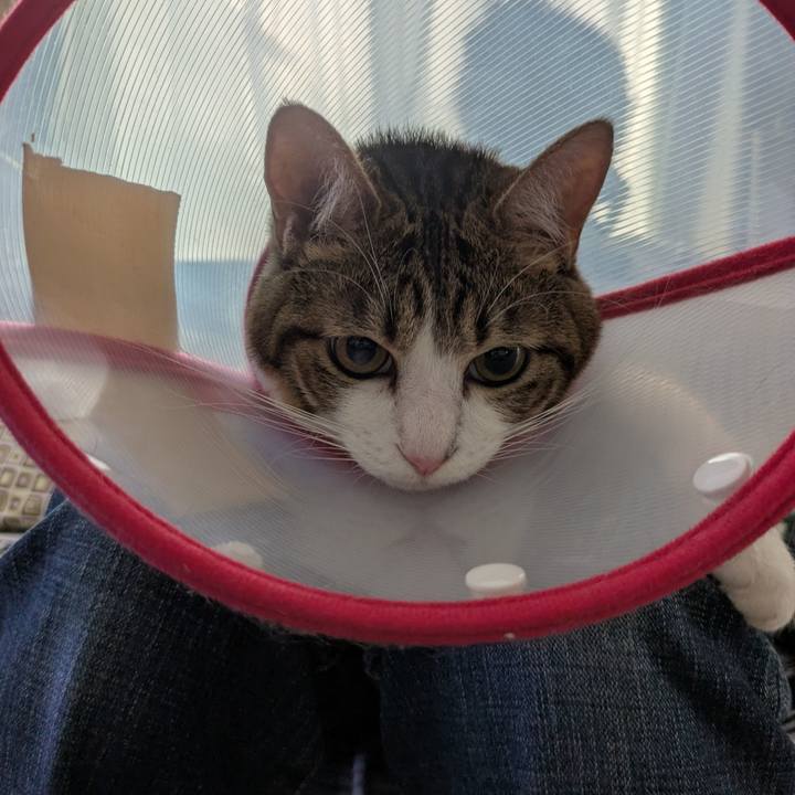 595ee32a 0b23 483f 8347 0c8340e077f7 1752196443944