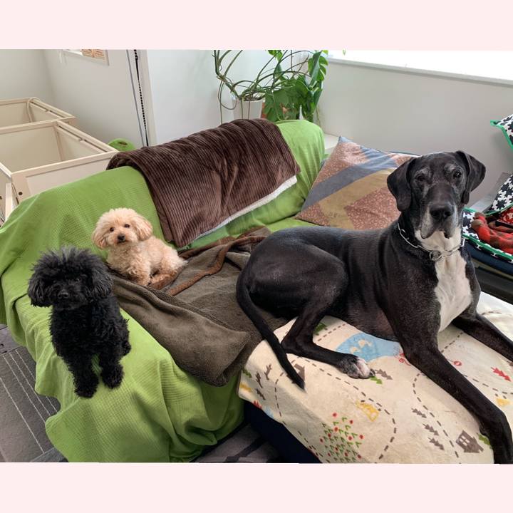 595ee75c 8967 4b9b b50c a866c0065fa3 1553639032671