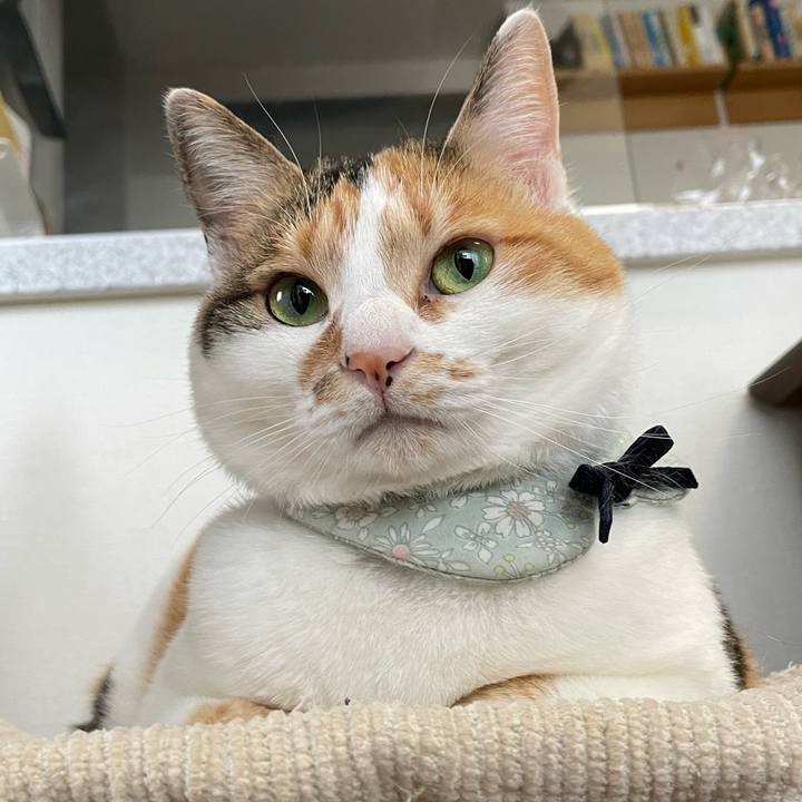 595f0f50 8785 47b7 ab62 66241e35d21d 1682465750443