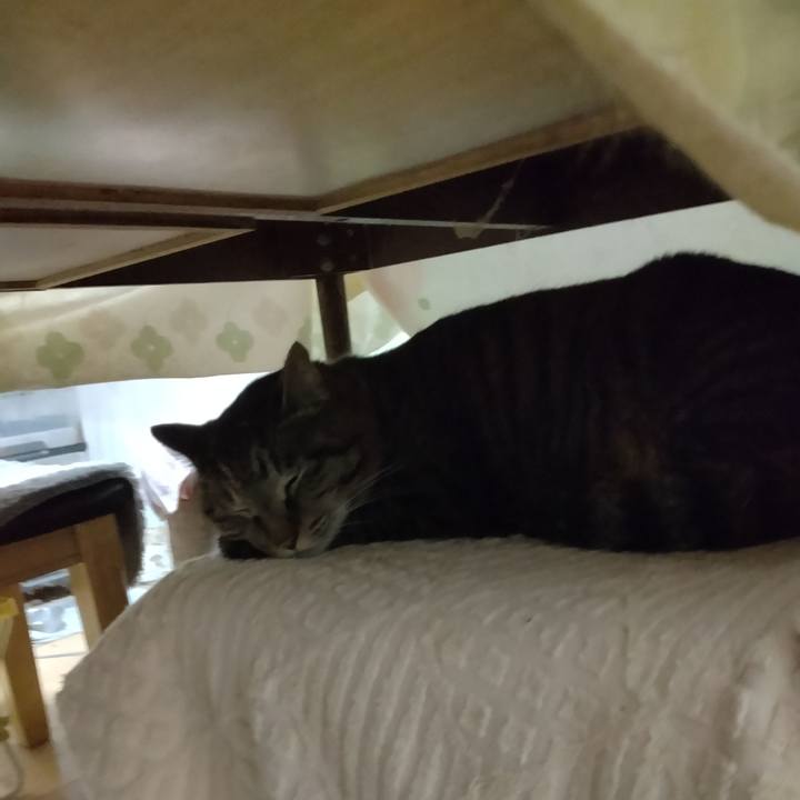 595f22a7 4e2b 4fa3 8a91 d587834be7b7 1680735144472