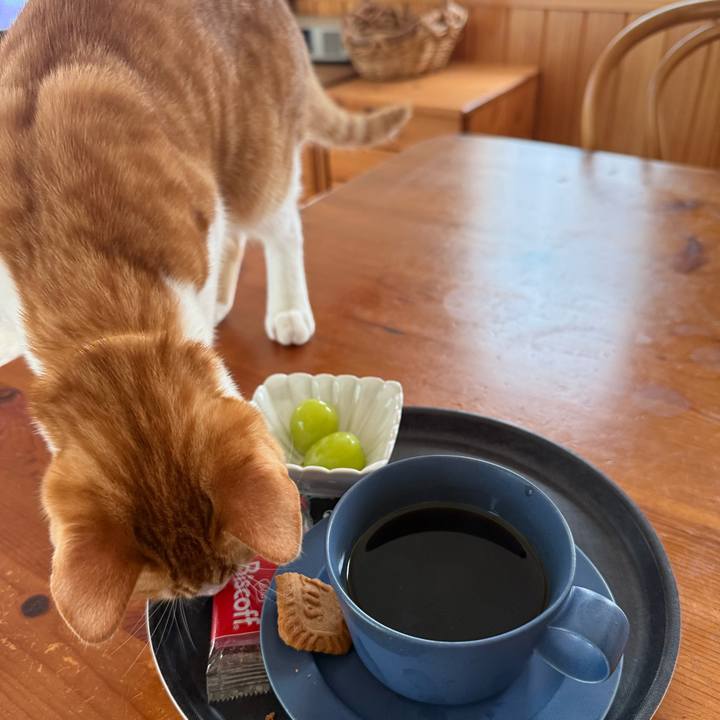 595f2c92 77f1 4db0 804d 603e01018ca1 1761024182799