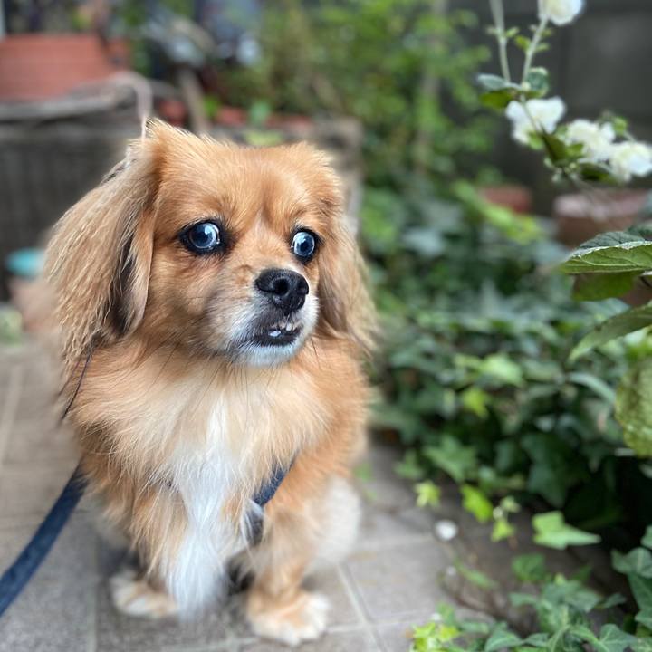 595f37ed b2e0 4827 ba5c 9ce89ff96196 1573509547541