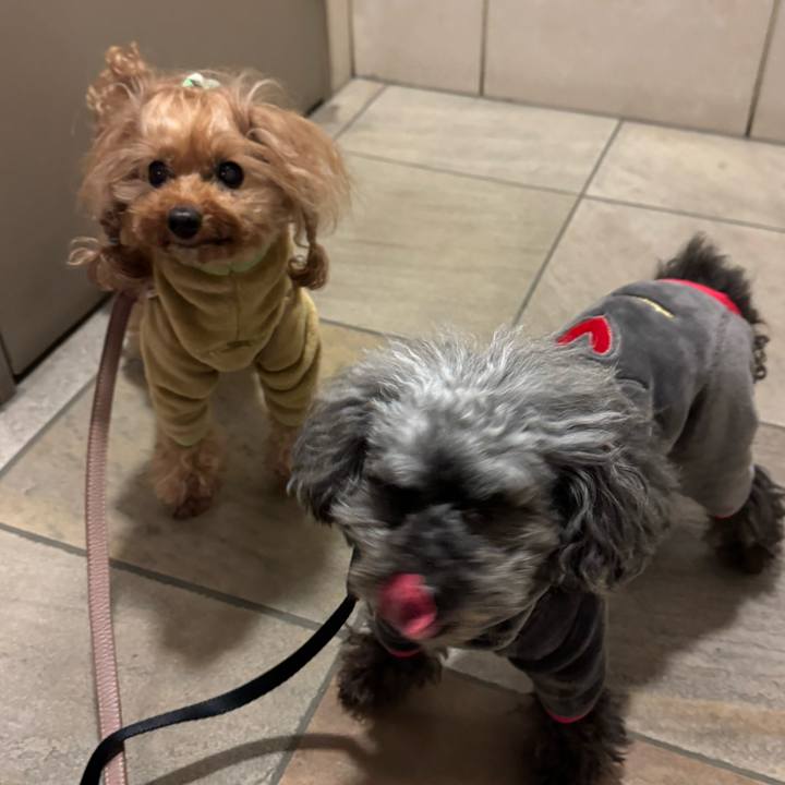 595f5f1c 6bff 4caa ad82 bfca5e2ccc12 1739661866405