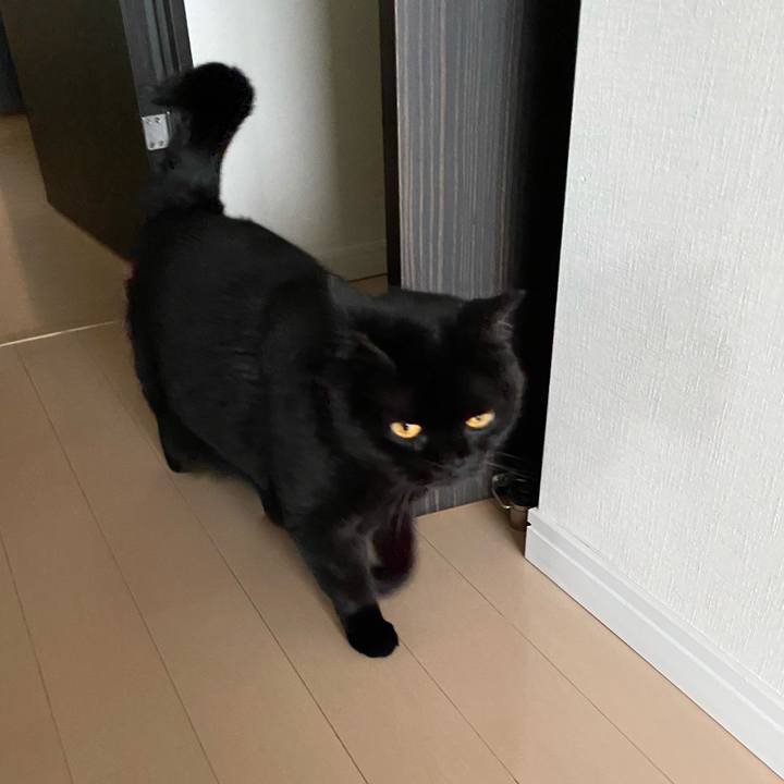 595f85fa c5fe 4aaa 90d5 58d5e5e70dca 1686817079870