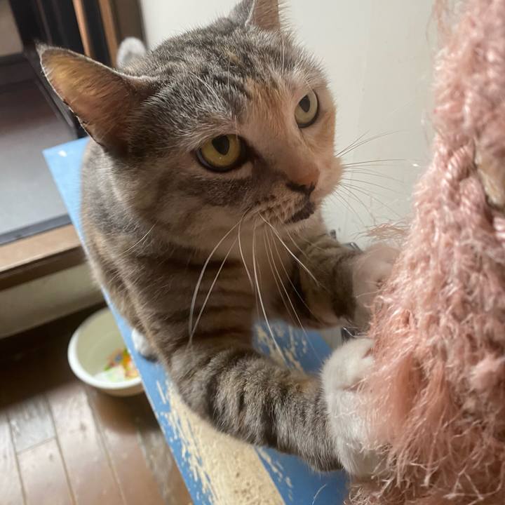 595fcd83 24a1 48f4 9530 d4fa9faf63a8 1629090505253